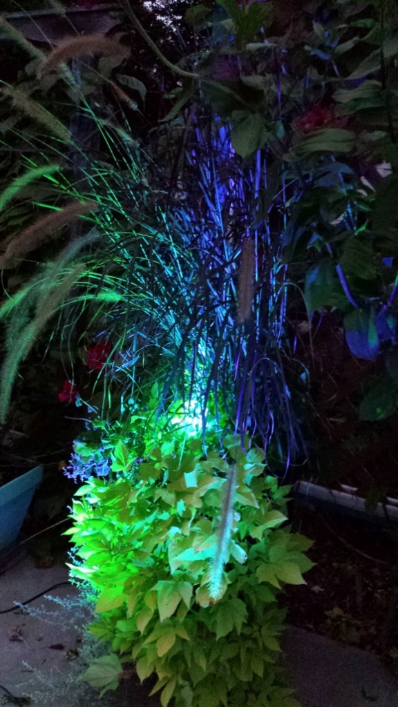 Planting & Seasonal Color Blair Lawn and Landscape